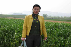 信息系統(tǒng)項目管理師優(yōu)秀學(xué)員